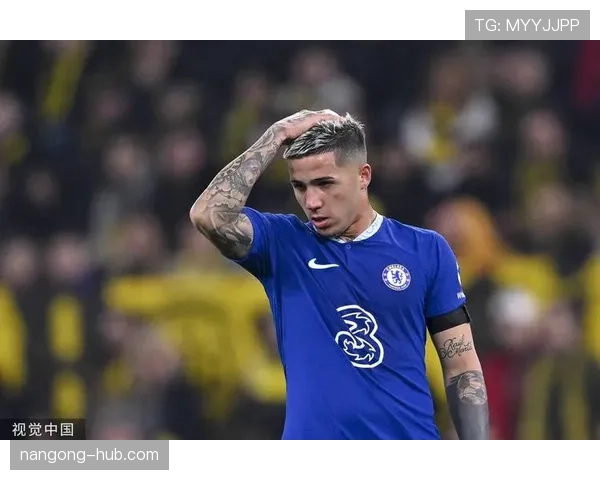 恩佐·费尔南德斯家的狗都吃有机牛排？